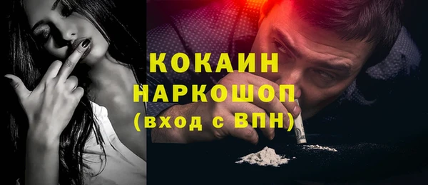 соль ск Алексин
