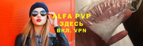 apvp Гусев