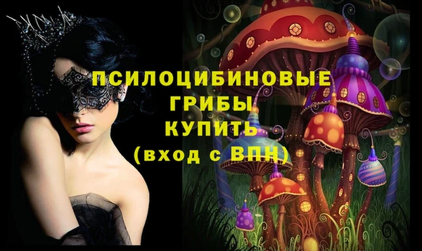 ECSTASY Володарск