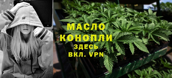 амф Гусь-Хрустальный